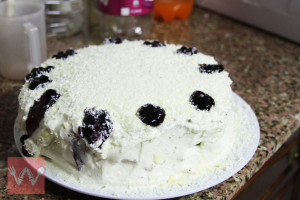 cakelens